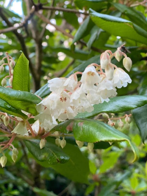 Harbour View Cottage House in County Kerry