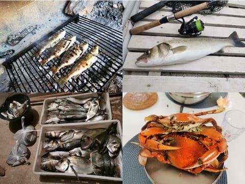 Activities, Fishing, Food and drinks, Area and facilities