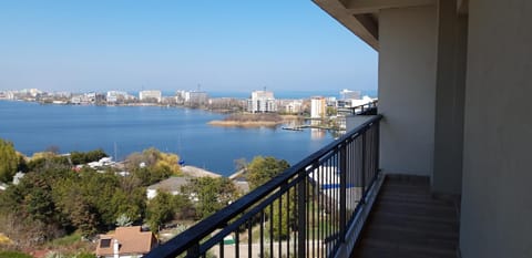 Lake view