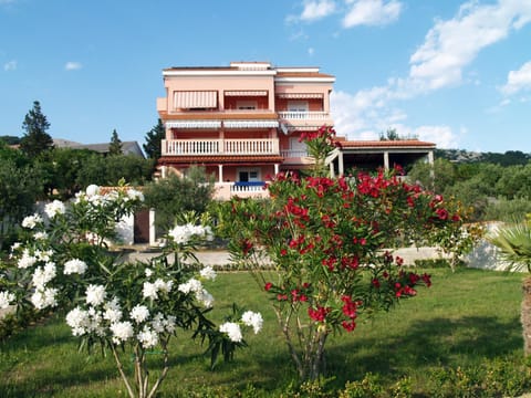 Area and facilities