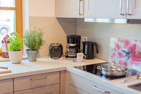 Reethaus am Deich House in Wustrow