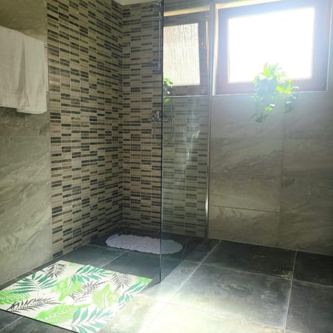 Shower, Bathroom, towels