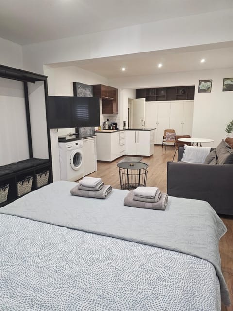 Bed, TV and multimedia, Kitchen or kitchenette, Living room, Photo of the whole room, Dining area, washing machine
