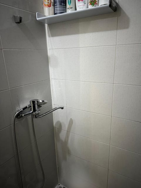 Garsoniera Aleea Trandafirilor Apartment in Serbia