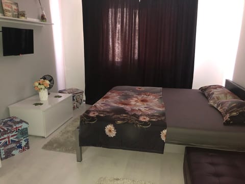 Garsoniera Aleea Trandafirilor Apartment in Serbia