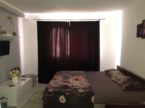 Garsoniera Aleea Trandafirilor Apartment in Serbia