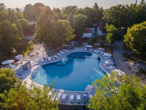 Natural landscape, Bird's eye view, Garden, Garden view, Pool view, Swimming pool, sunbed