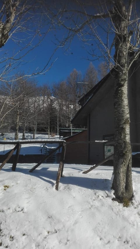 Natural landscape, Winter