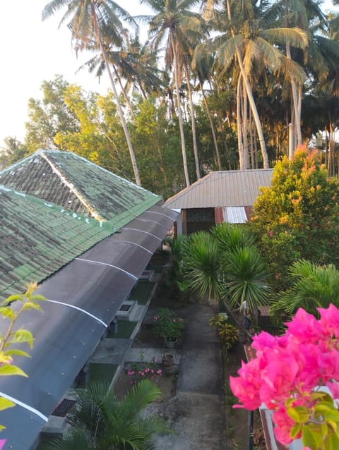 Day, Natural landscape, Garden, Garden view