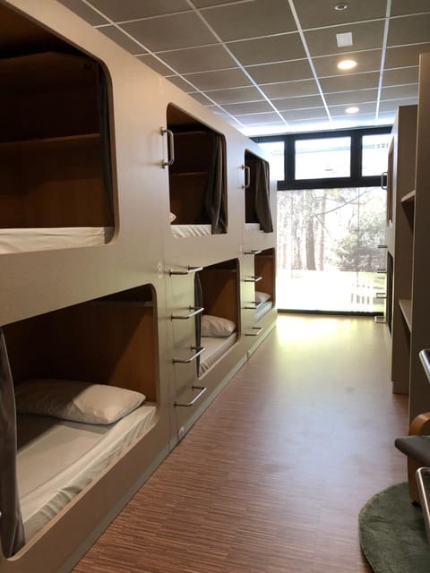 bunk bed