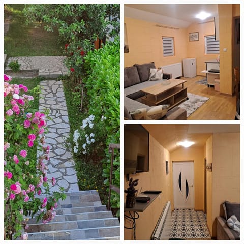 SAŠA Apartment in Montenegro