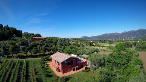 Neighbourhood, Bird's eye view