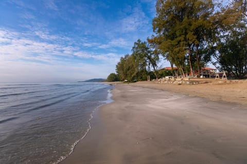 Day, Beach, Sea view
