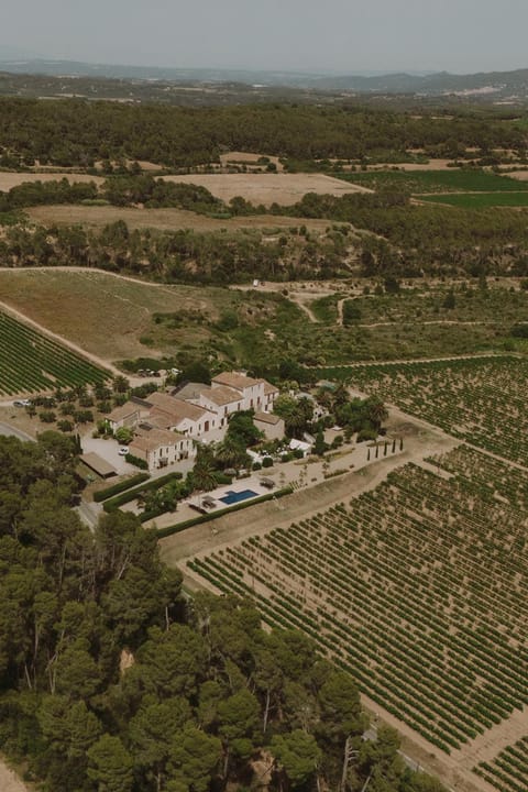 Neighbourhood, Natural landscape, Bird's eye view