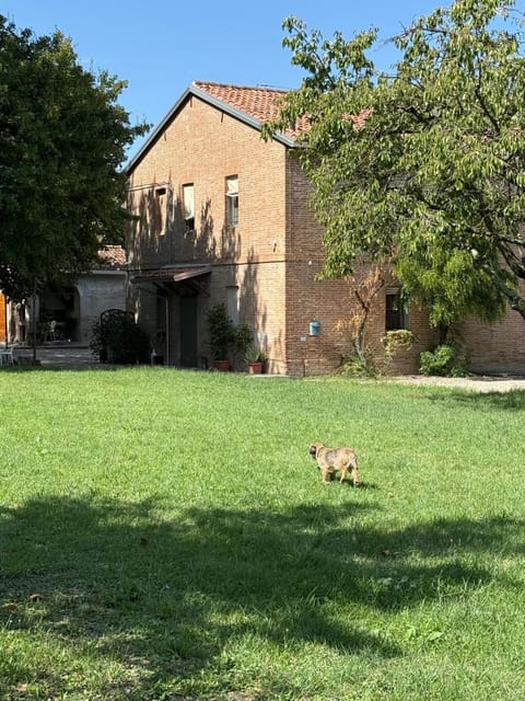 Natural landscape, Garden, Pets, Garden view