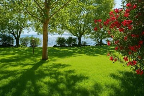 International Glamping Lago Di Bracciano Campground/
RV Resort in Lazio