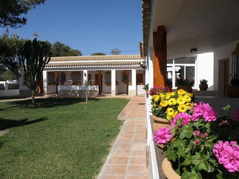 Day, Garden, Decorative detail