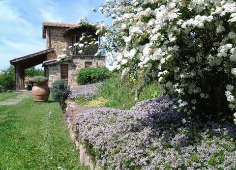 Agriturismo Casa Fibbianello Farm Stay in Lazio