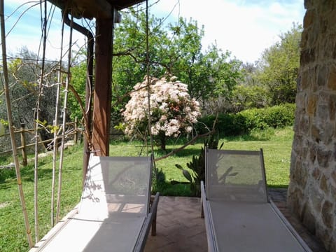 Agriturismo Casa Fibbianello Farm Stay in Lazio