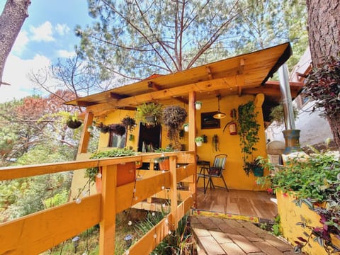 Property building, Day, Balcony/Terrace