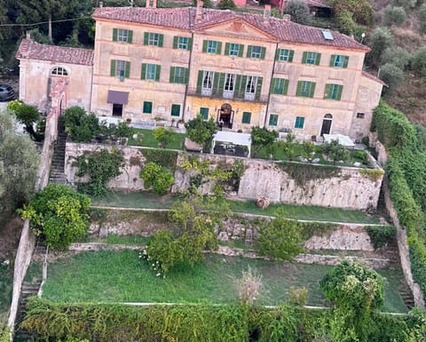 Bird's eye view, Garden