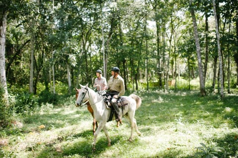 People, Horse-riding, Animals