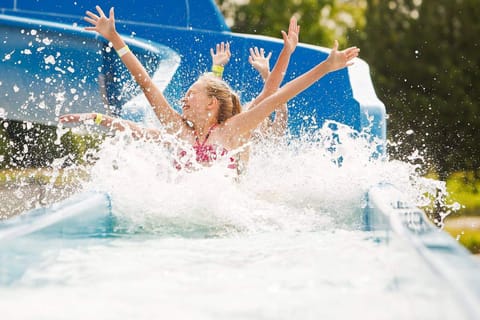 Summer, Aqua park, Swimming pool