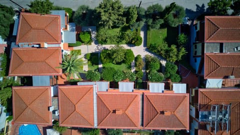 Bird's eye view, Garden
