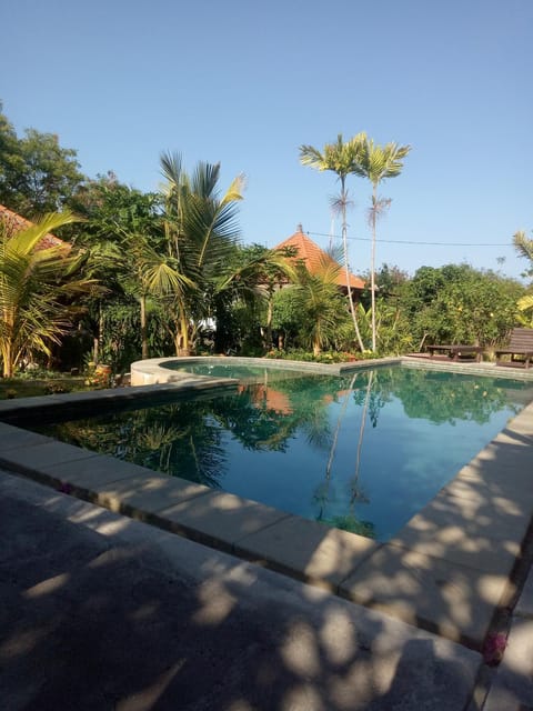 Property building, Day, Garden, Garden view, Pool view, Swimming pool