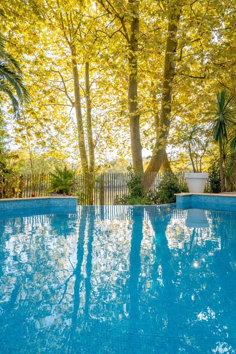 River view, River view, Swimming pool