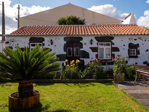 Property building, Garden view