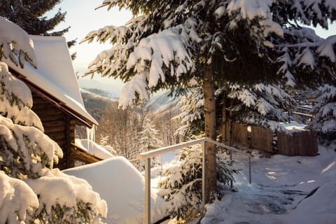 Property building, Winter