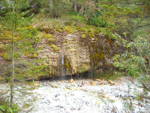 Natural landscape, Summer