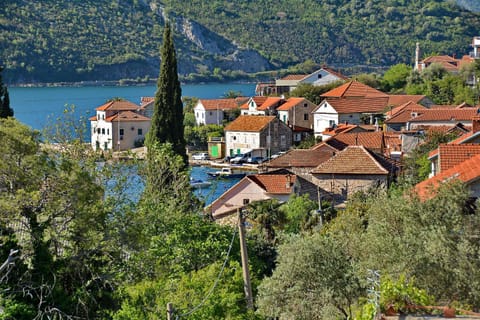 City view, Sea view