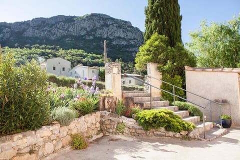 Mountain view