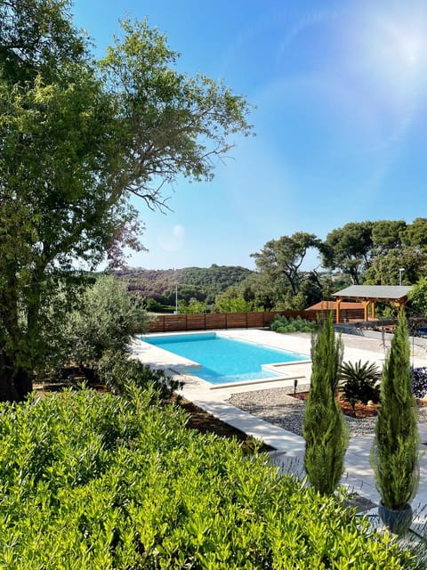 Garden, Pool view, Swimming pool