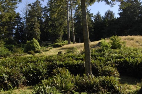 Ye Olde Danish Inn Inn in Ferndale