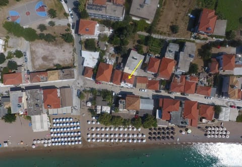 Eleni's house House in Messenia