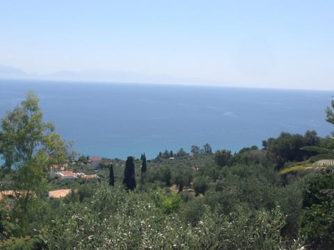 Sea view