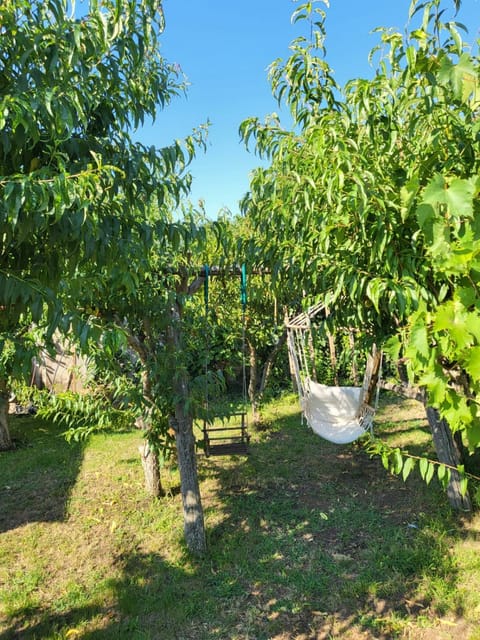 Day, Natural landscape, Garden, Garden view