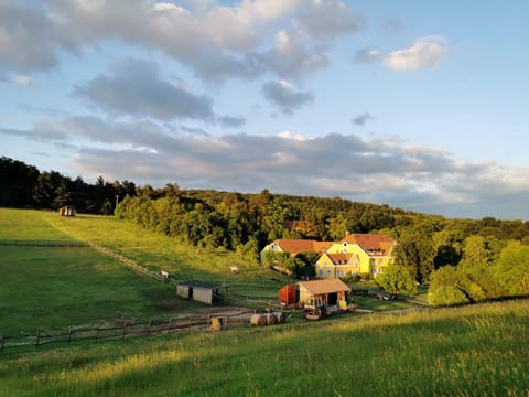 Natural landscape, Garden