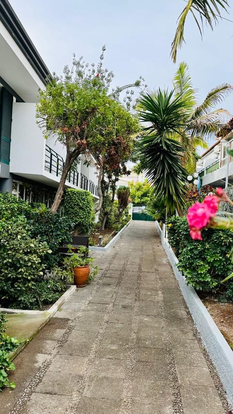 Garden, Garden view