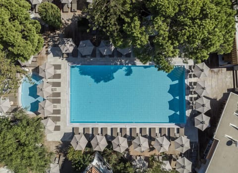 Day, Pool view, Swimming pool