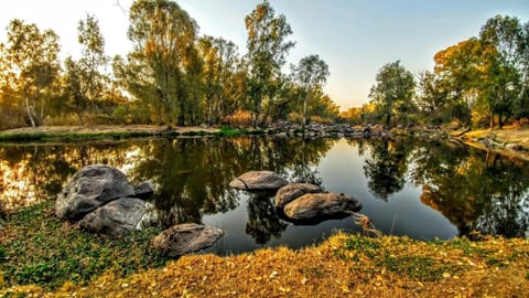 River view
