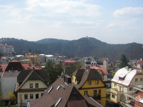 View (from property/room), City view