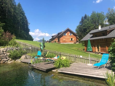 Garden, Garden view, Swimming pool