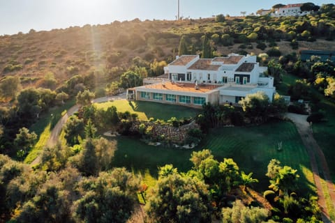 Property building, Bird's eye view
