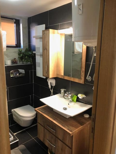 Zlatibor Lux Apartment in Zlatibor