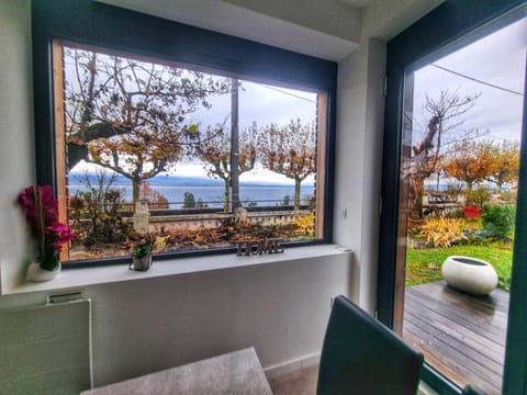 Appartement Cozy 1 Panoramique Lac Léman Thonon-Les-Bains Apartment in Thonon-les-Bains
