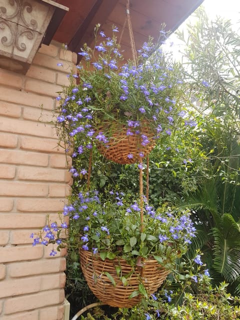 Marco's house House in Sardinia